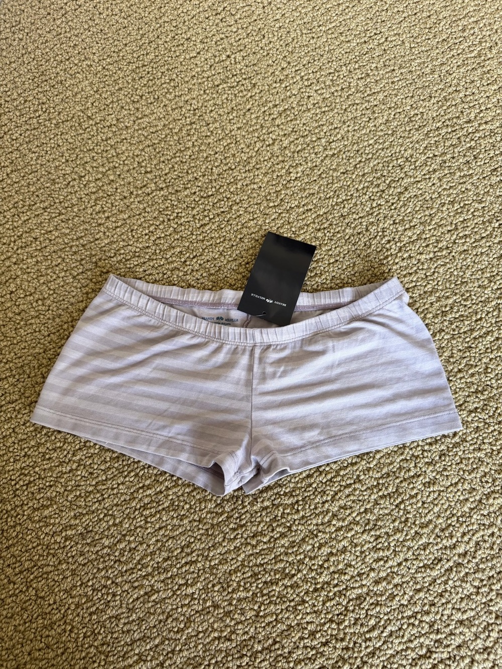 Brandy Melville Light Lavender Striped Mini Shorts
